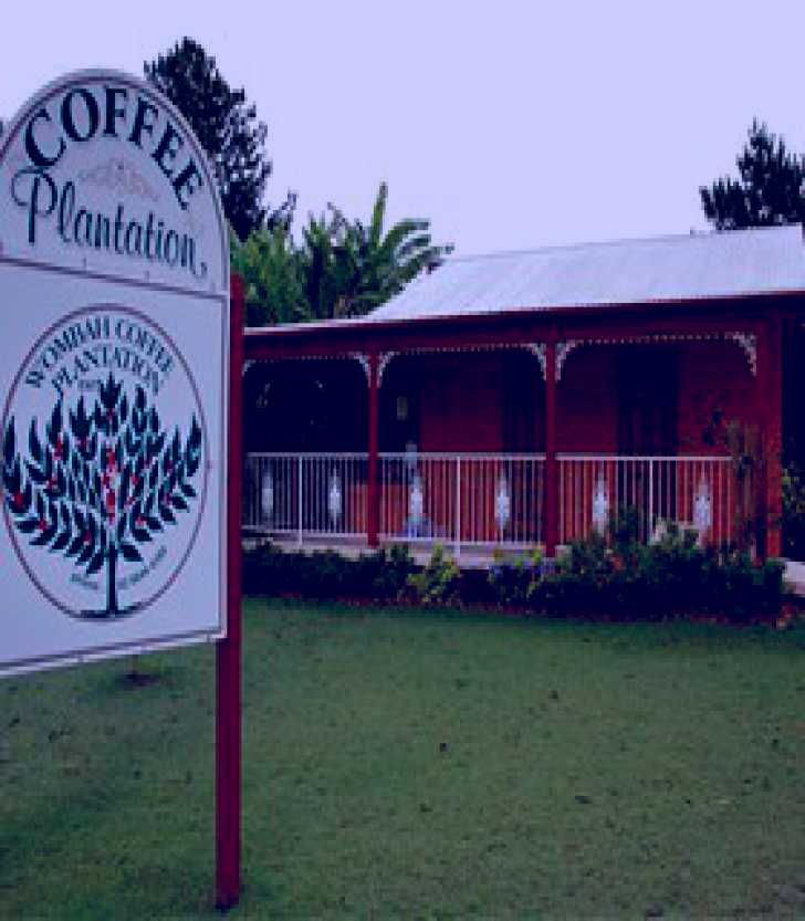 SubjectCoach | Wombah Coffee Plantation