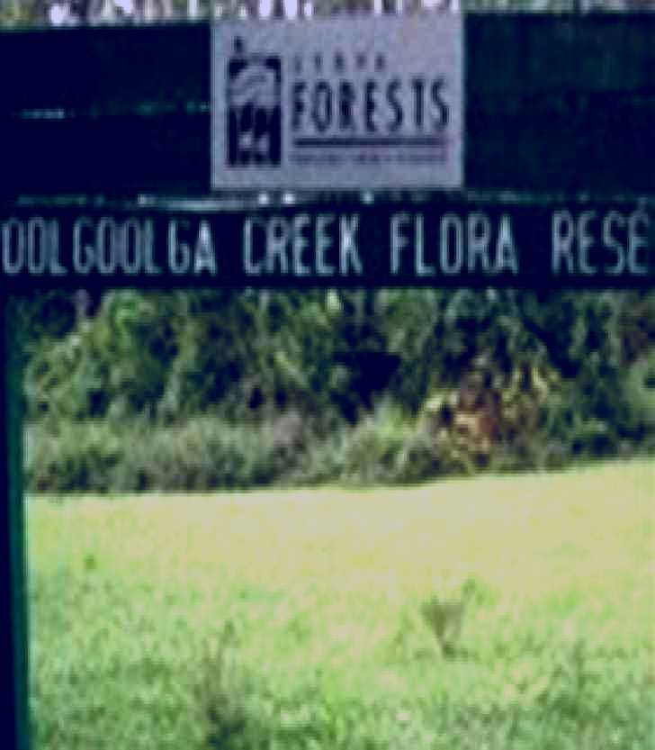 SubjectCoach | Woolgoolga Creek Flora Reserve