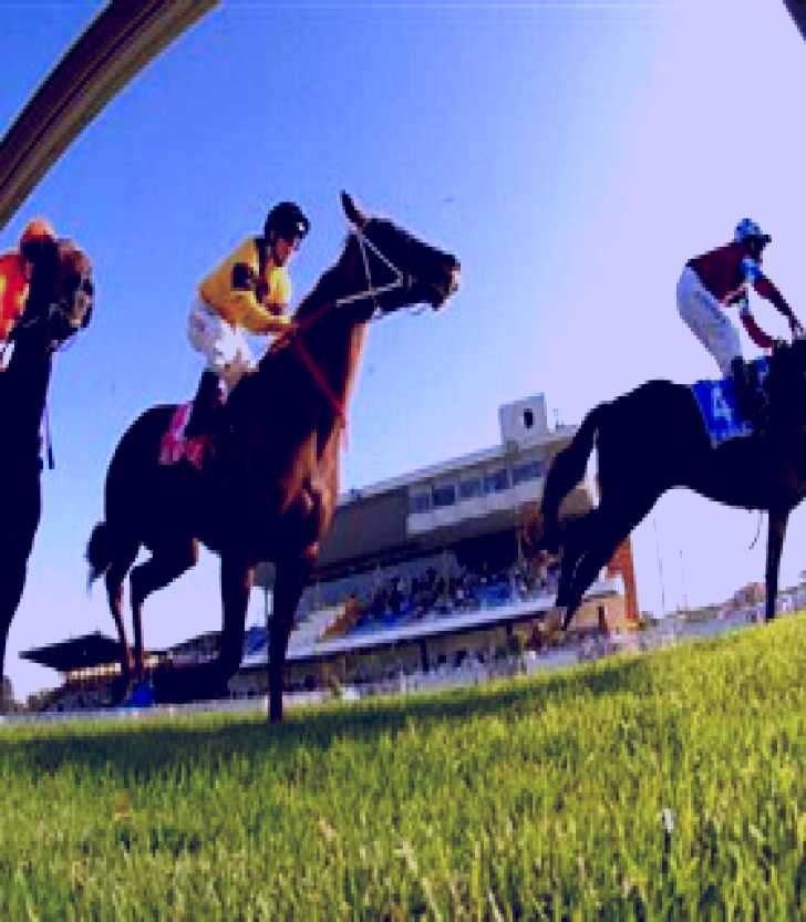 SubjectCoach | Wyong Race Club