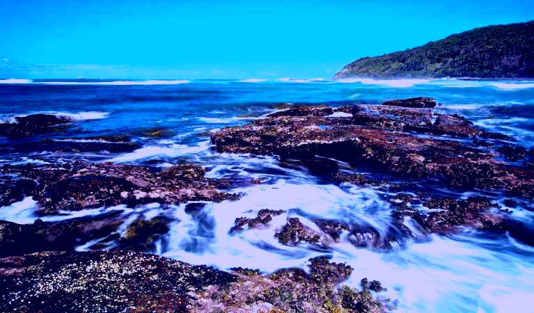 SubjectCoach | Wyrrabalong National Park