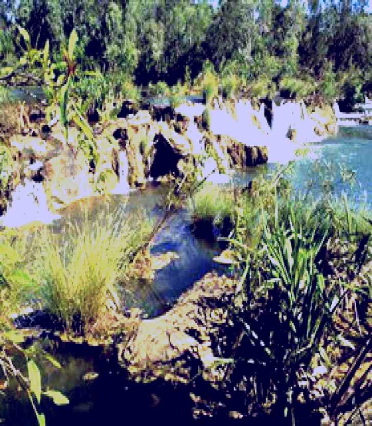 SubjectCoach | Flora River Nature Park