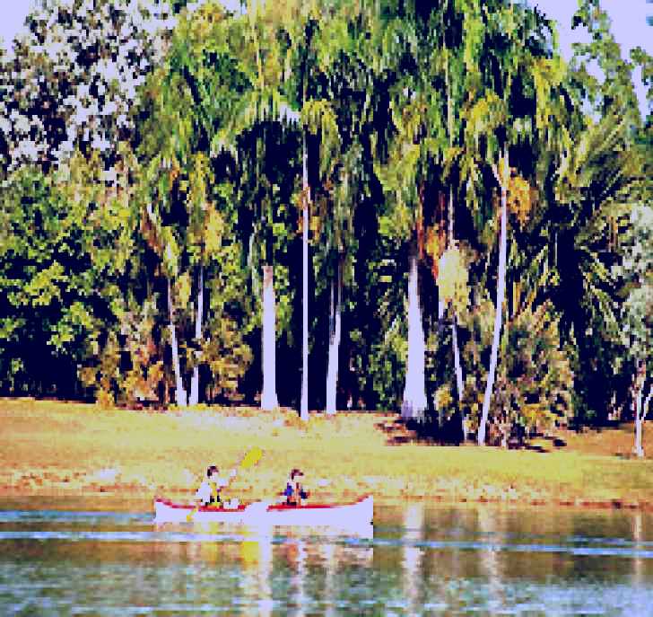 SubjectCoach | Lake Alexander