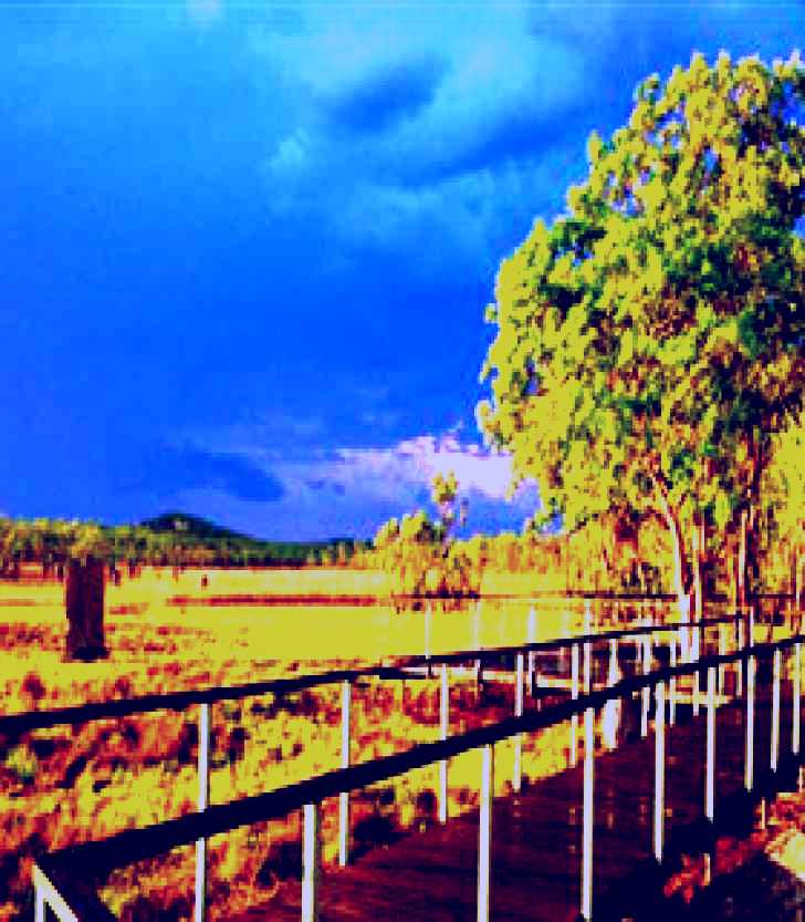 SubjectCoach | Litchfield National Park