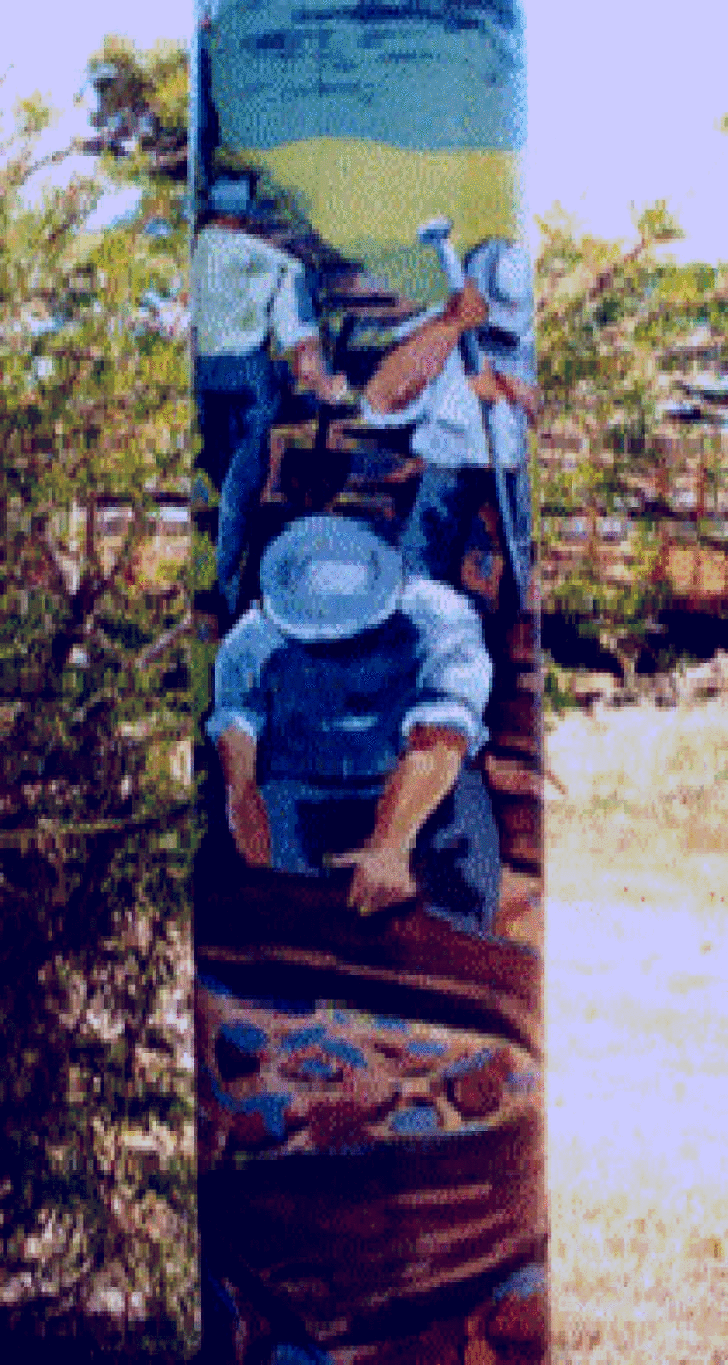 SubjectCoach | Alpha Murals