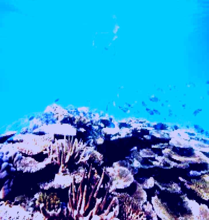 SubjectCoach | Australian Institute of Marine Science