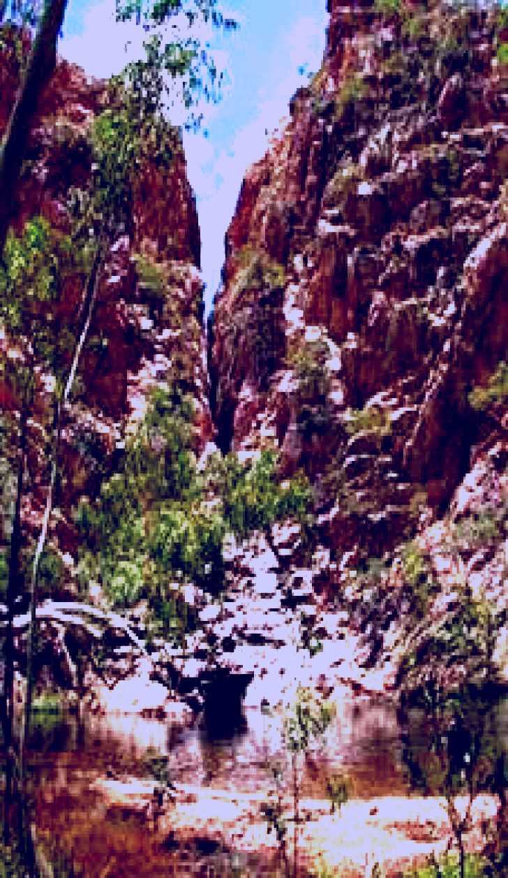 SubjectCoach | Ballara Heritage Trail