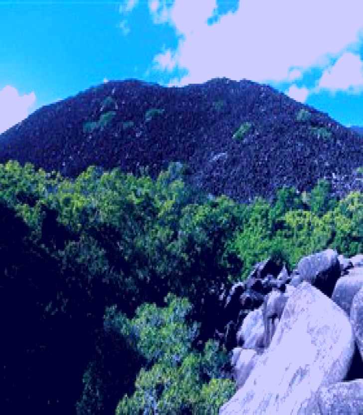 SubjectCoach | Black Mountain (Kalkajaka) National Park