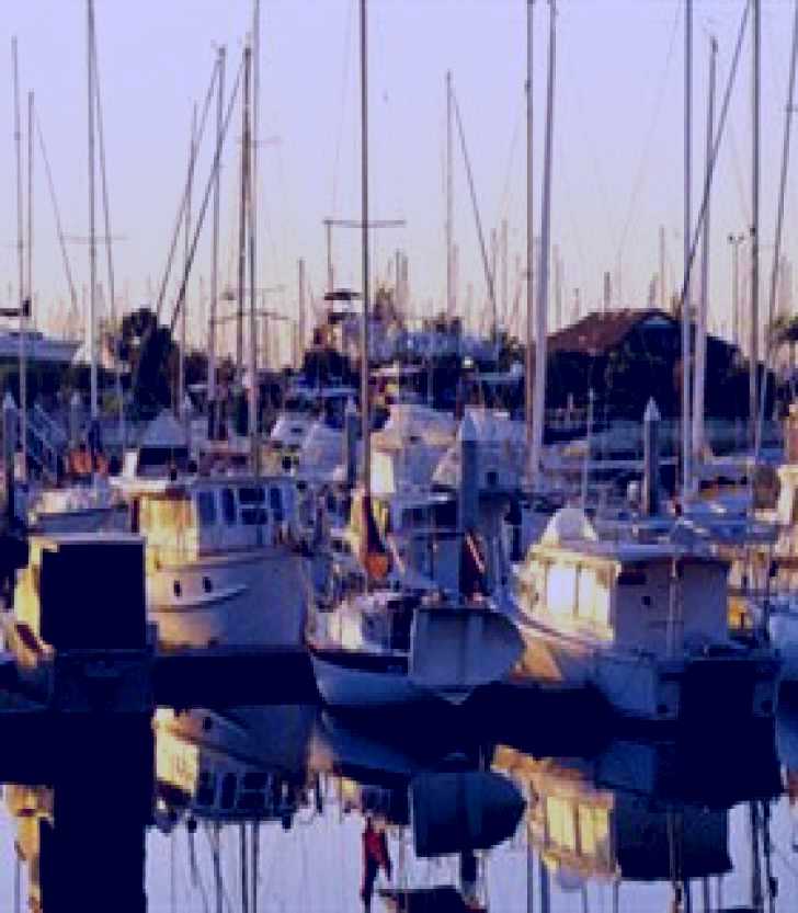 SubjectCoach | Brisbane Bayside