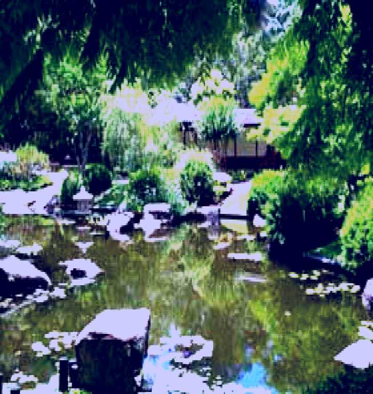 SubjectCoach | Brisbane Botanic Gardens Mount Coot-tha