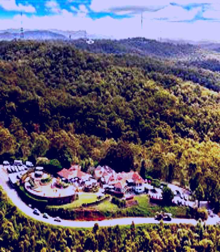 SubjectCoach | Brisbane Lookout Mount Coot-tha