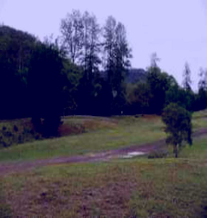 SubjectCoach | Brooyar State Forest