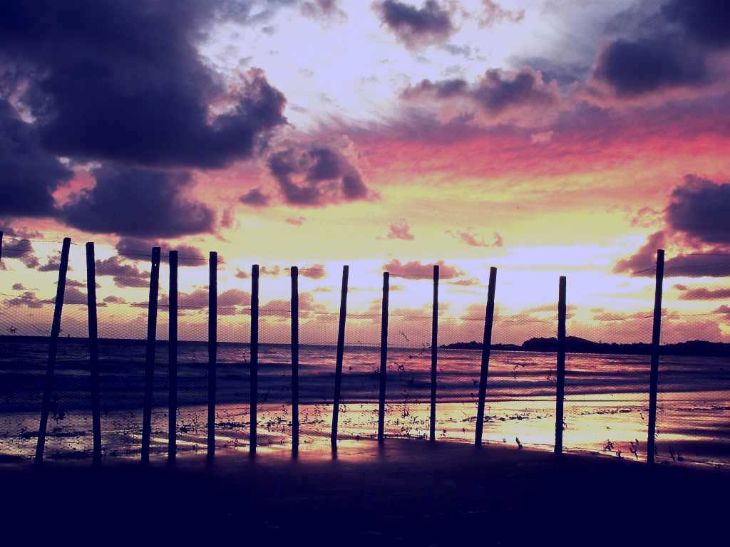 SubjectCoach | Bucasia Beach