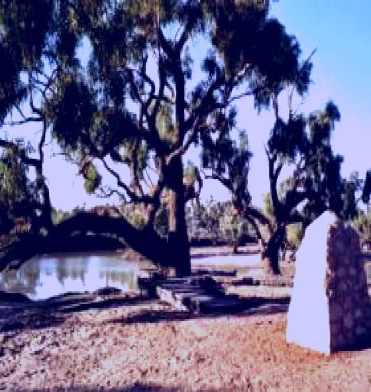 SubjectCoach | Burke and Wills Dig Tree