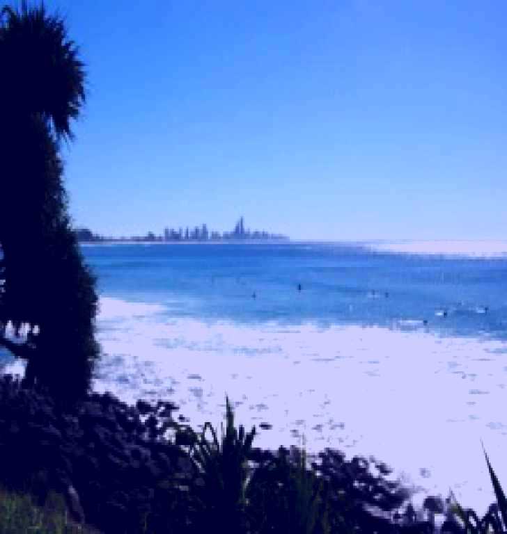 SubjectCoach | Burleigh Head National Park