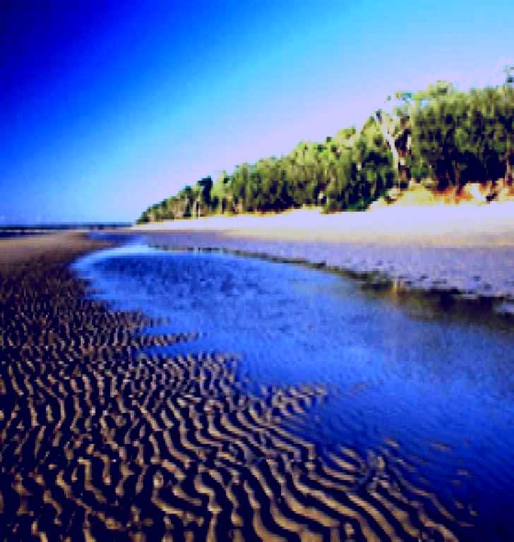 SubjectCoach | Burrum Coast National Park