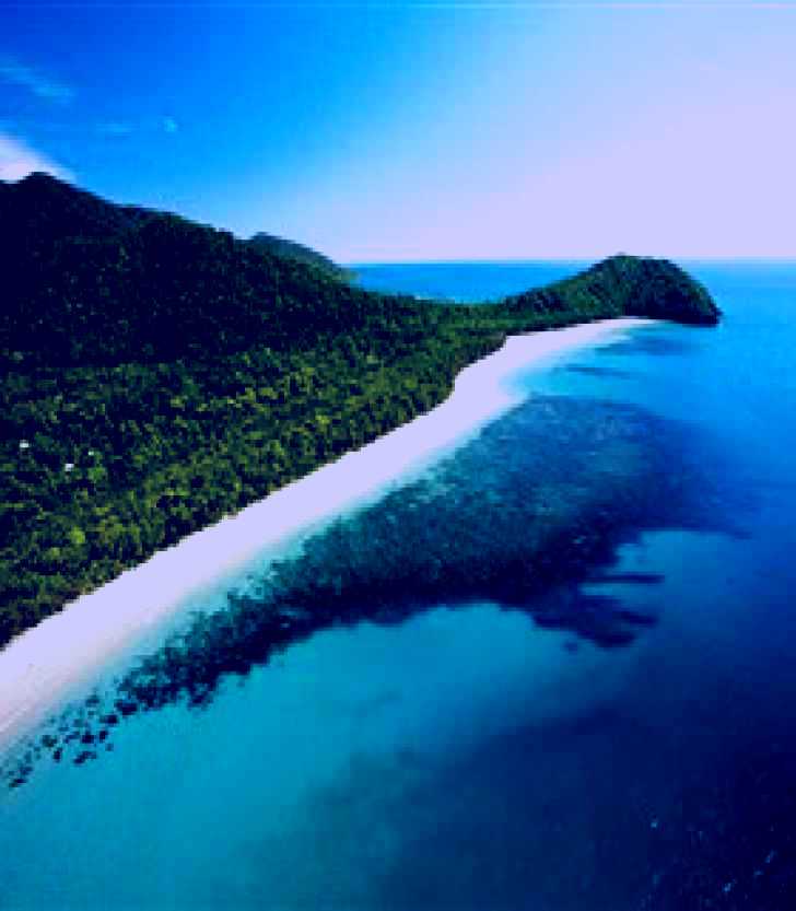 SubjectCoach | Cape Tribulation, Daintree National Park