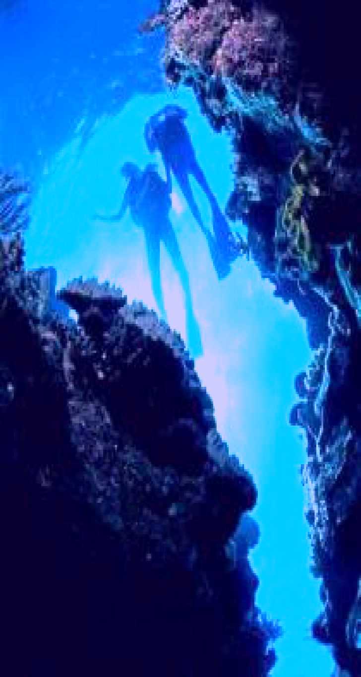 SubjectCoach | Caves and Canyons Dive Site