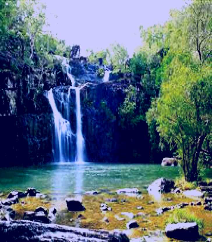 SubjectCoach | Cedar Creek Falls