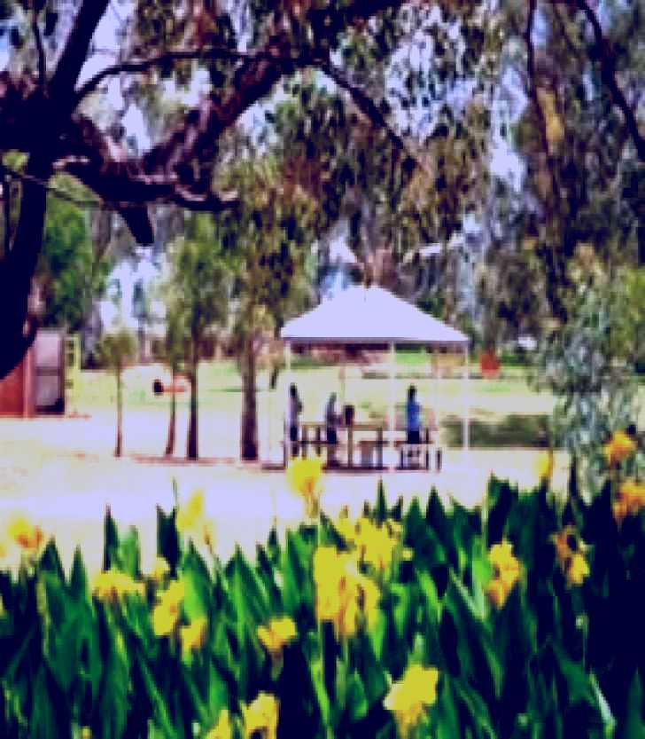 SubjectCoach | Charleville - Graham Andrews Parklands