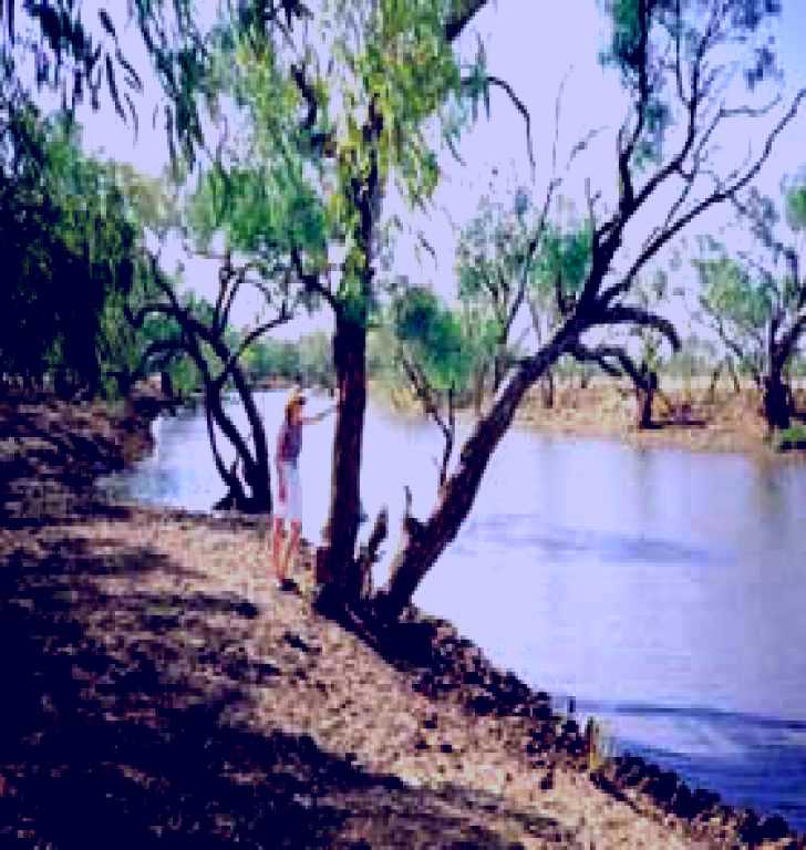 SubjectCoach | Combo Conservation Park