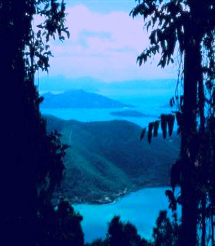 SubjectCoach | Conway National Park