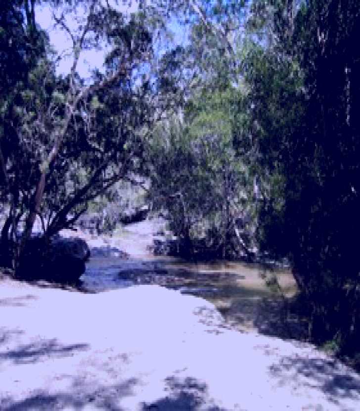 SubjectCoach | Davies Creek National Park and Dinden National Park