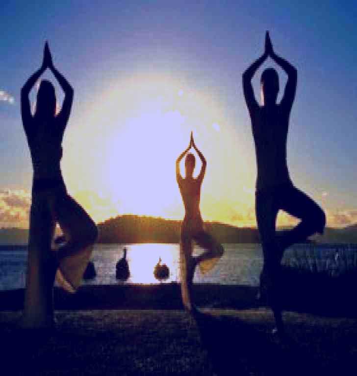 SubjectCoach | Daydream Island Resort and Spa