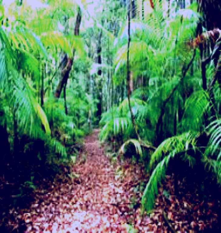 SubjectCoach | Delicia Road Conservation Park