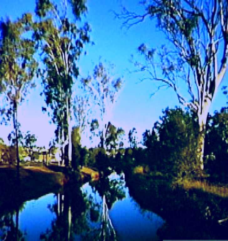 SubjectCoach | Dingo Creek Park