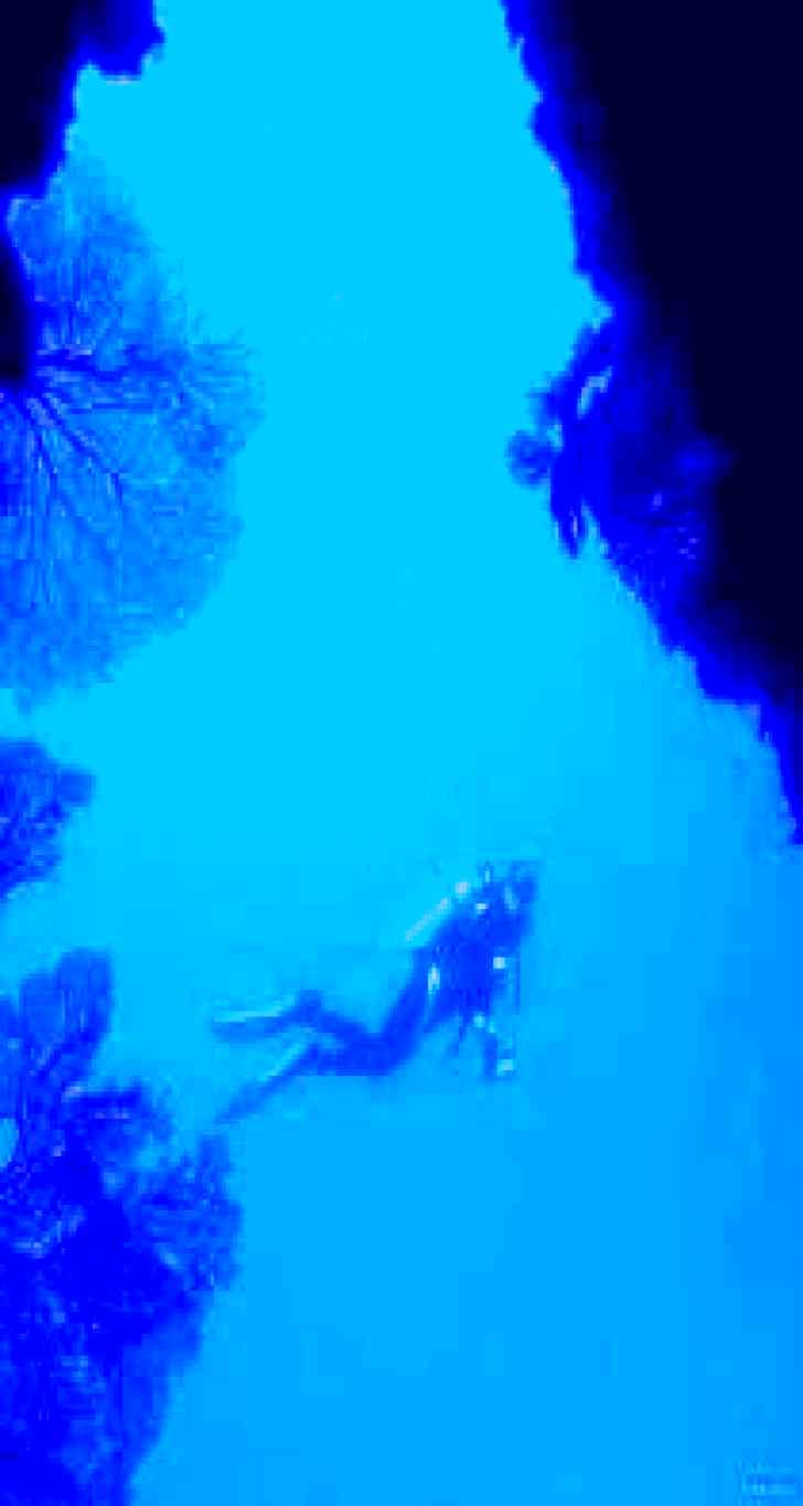 SubjectCoach | Drop Zone Dive Site