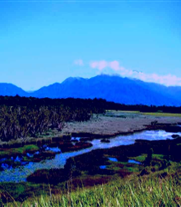 SubjectCoach | Eubenangee Swamp National Park