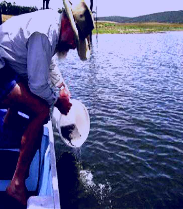 SubjectCoach | Eungella Dam