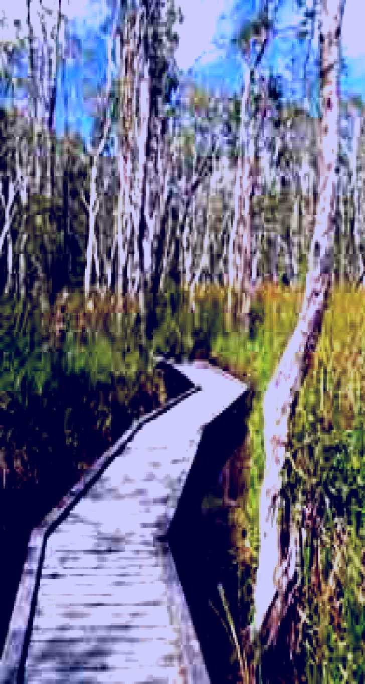 SubjectCoach | Fay Smith Wetlands