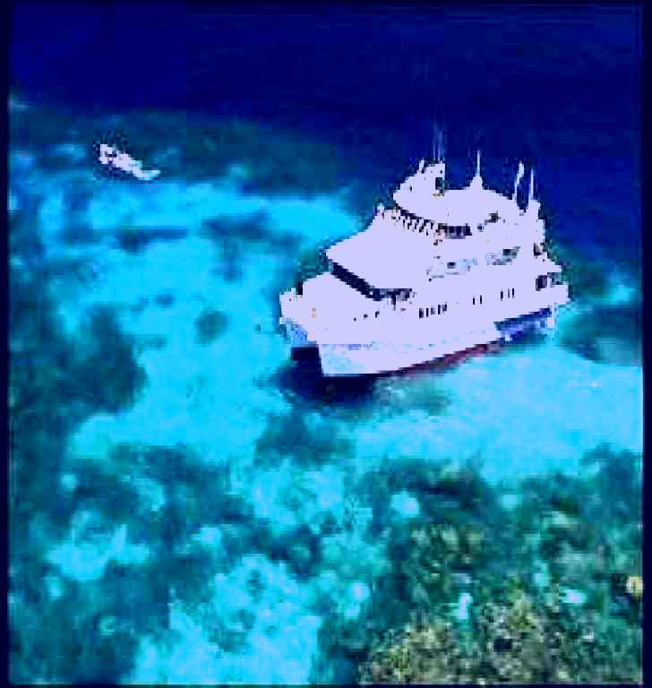 SubjectCoach | Fish Bowl Dive Site