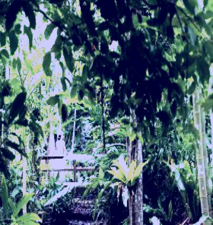 SubjectCoach | Flecker Botanic Gardens