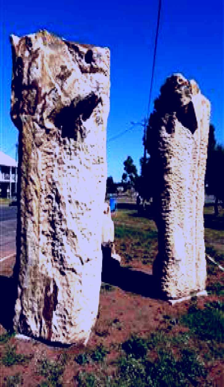 SubjectCoach | Fossilised Forrest Sculptures