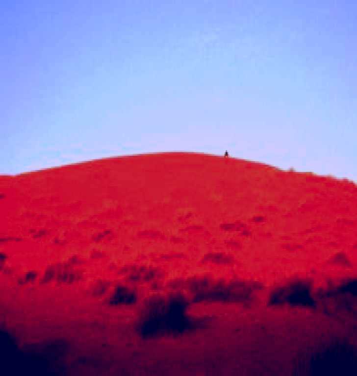 SubjectCoach | French Line - Simpson Desert