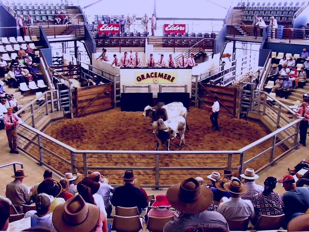 SubjectCoach | Gracemere Exhibition Complex