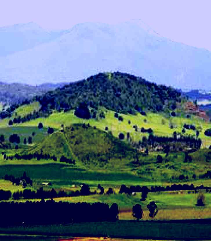 SubjectCoach | Hallorans Hill