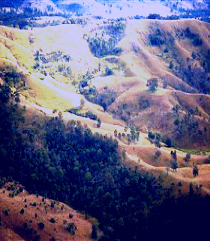 SubjectCoach | Harrisville Historical Society Museum