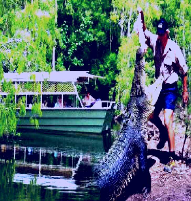 SubjectCoach | Hartleys Crocodile Adventures