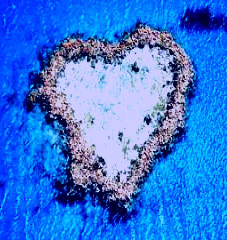 SubjectCoach | Heart Reef