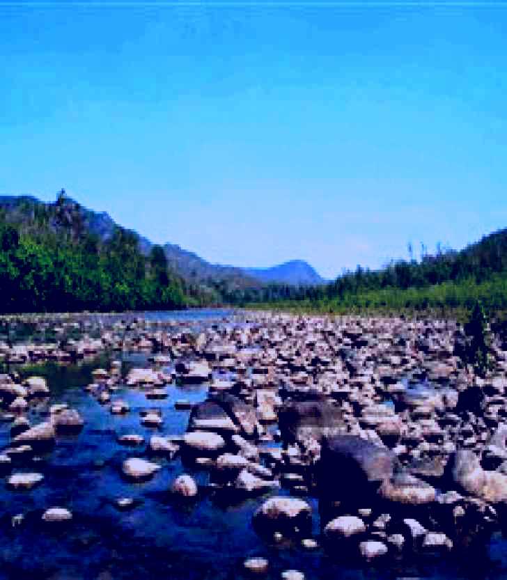 SubjectCoach | Herbert River Museum