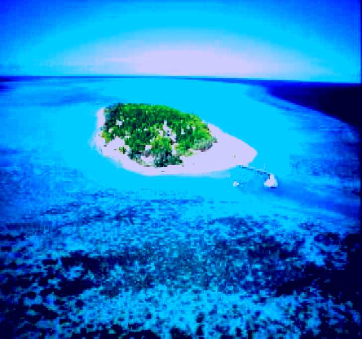 SubjectCoach | Heron Island Dive Site