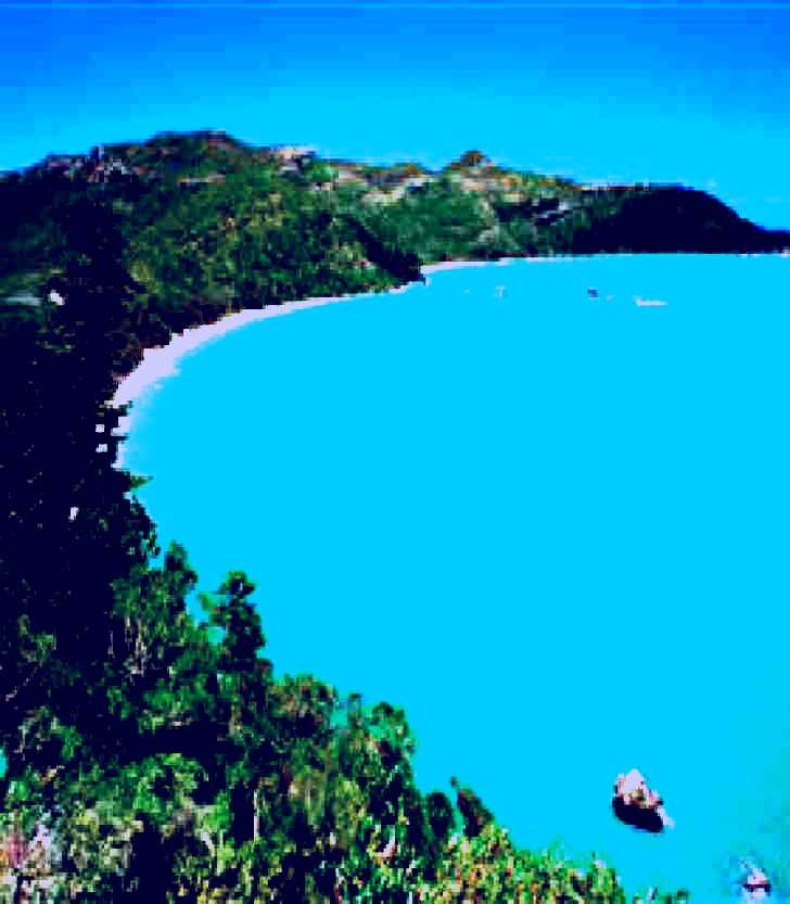 SubjectCoach | Hibiscus Coast