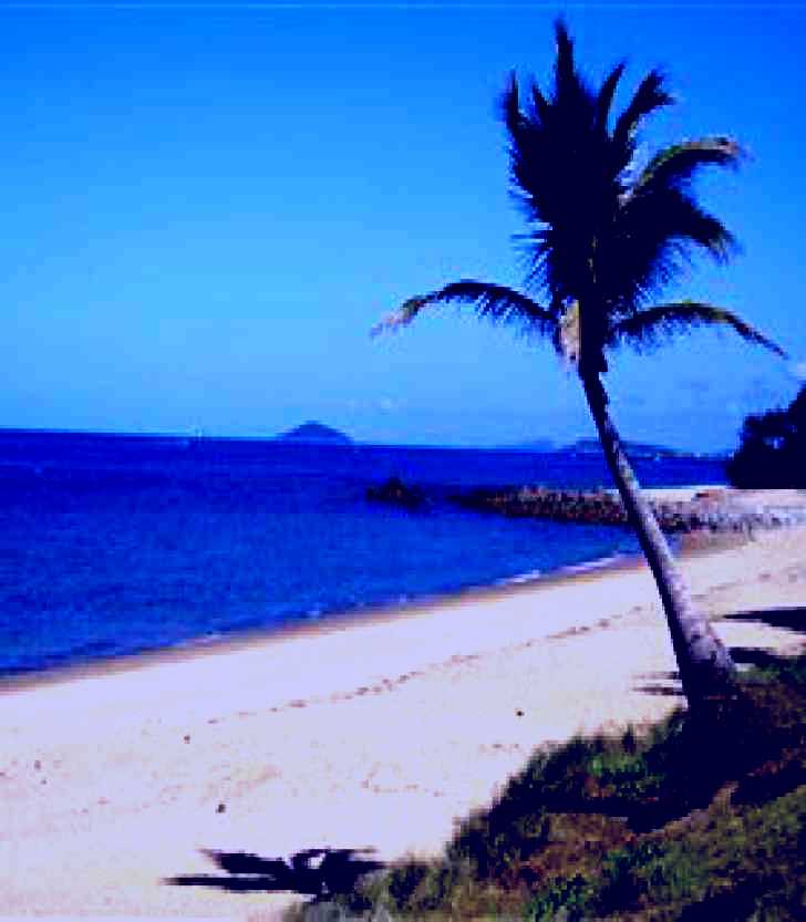 SubjectCoach | Lamberts Beach