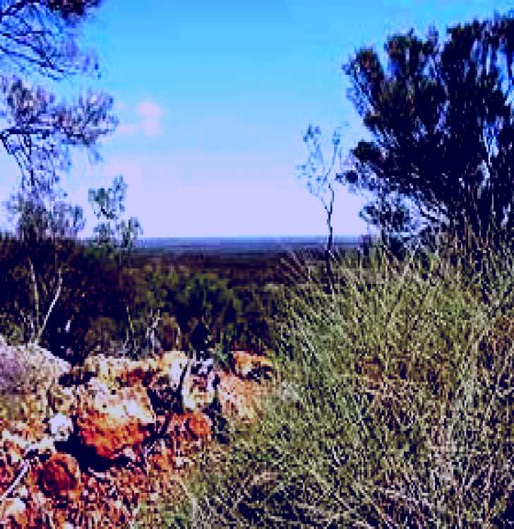 SubjectCoach | Lochern National Park