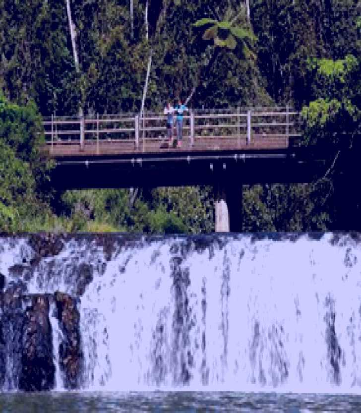 SubjectCoach | Malanda Falls Conservation Park