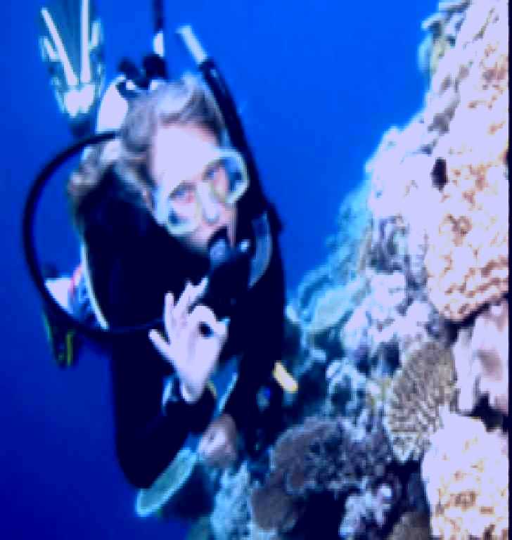 SubjectCoach | Moore Reef Dive Site