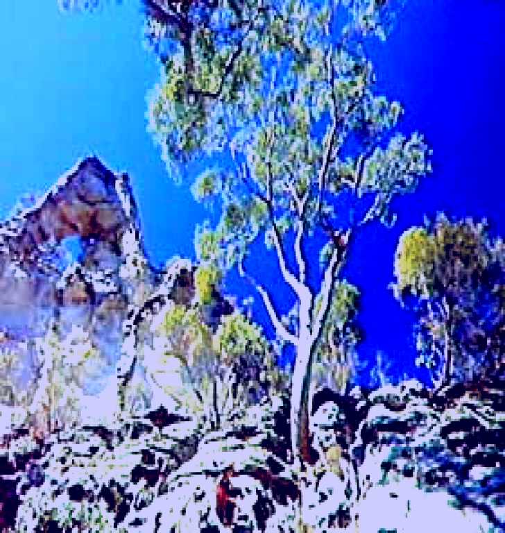 SubjectCoach | Mount Moffatt Section - Carnarvon National Park